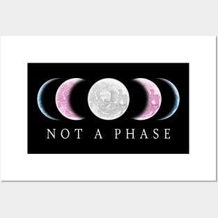 Not A Phase Transgender Pride Posters and Art